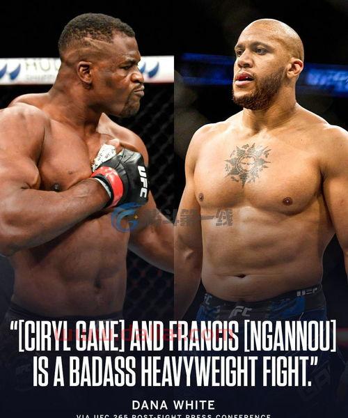 ufc小孩训练,UFC的选手是如何练抗击打的!