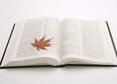 世界杯足球比赛后半场到底有多长？