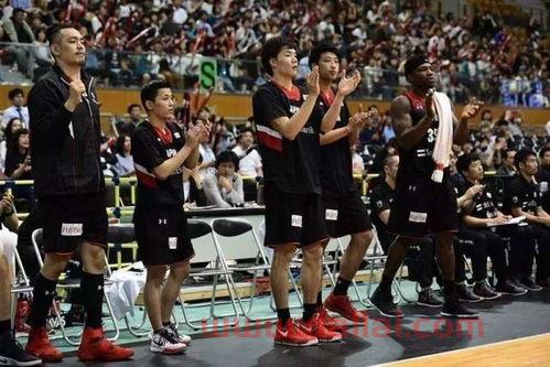 世界杯上扛巴西国旗的那漂亮的巴西女球迷是谁(世界男篮锦标赛巴西女球迷)