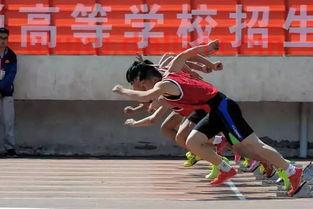 八王子高中招收篮球体育生的标准是怎样的 (朱雨玲中国女乒教练)